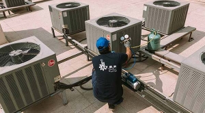 کلمات کلیدی پرجستجو